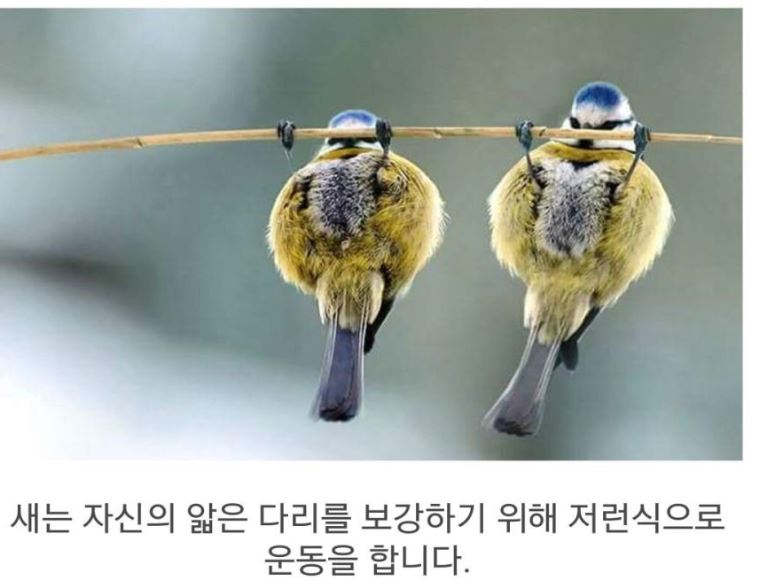 실화냐.JPG