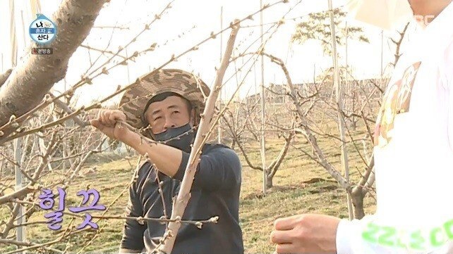 나혼자산다 성훈이 무척 마음에 드신 농부 아저씨