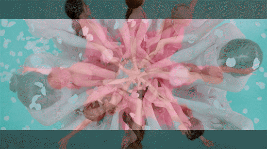 꽃을 표현하는 아이돌 안무