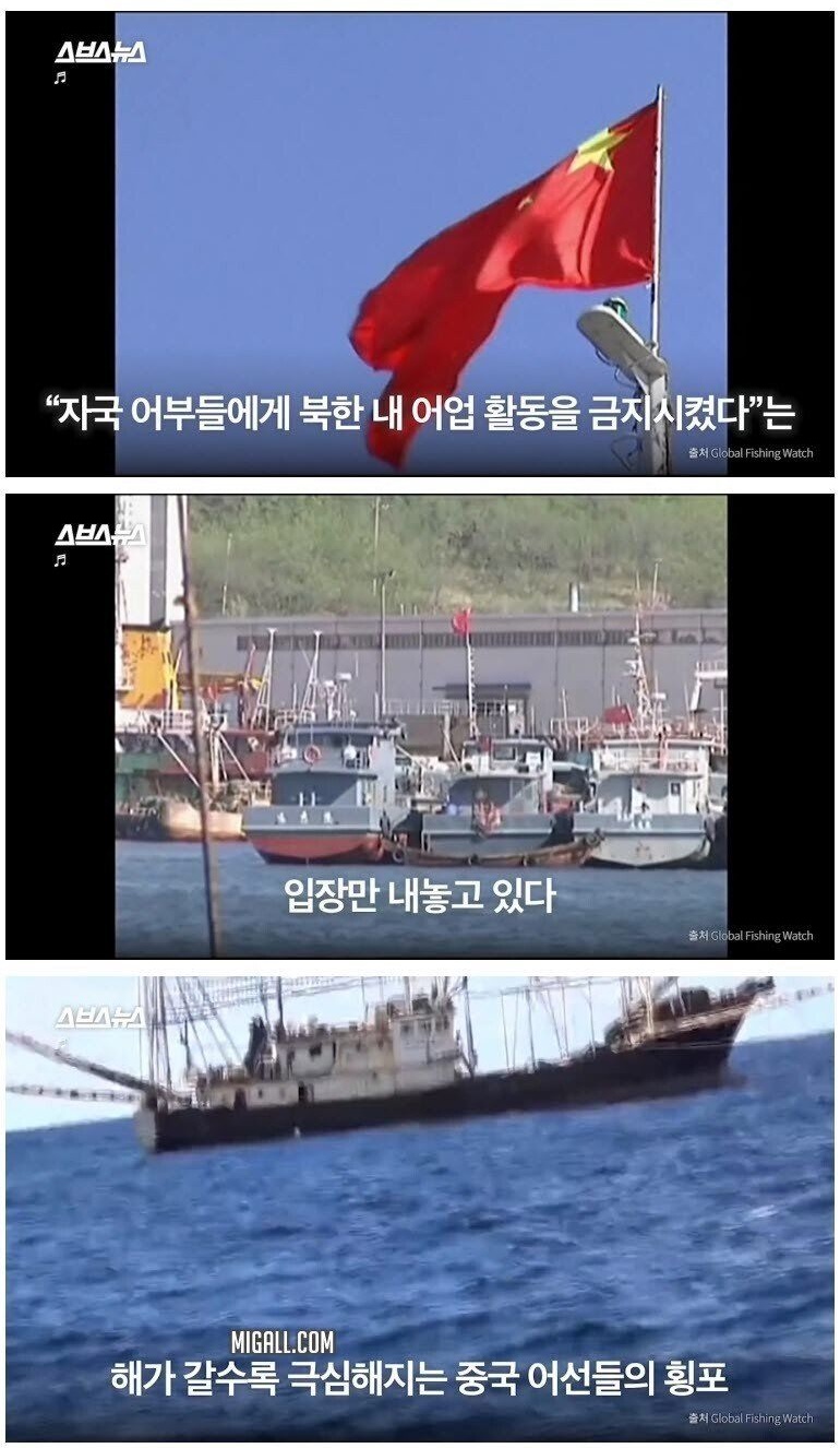 울릉도 앞까지 점령한 중국 불법 어선들