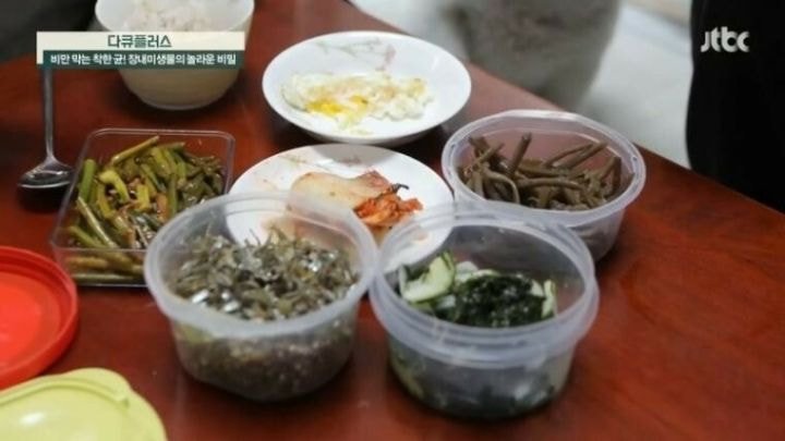 고도비만인의 식단과 저체중인 사람의 식단