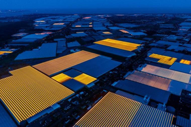 한국과 비교되는 첨단산업이 되어버린 네덜란드 농업