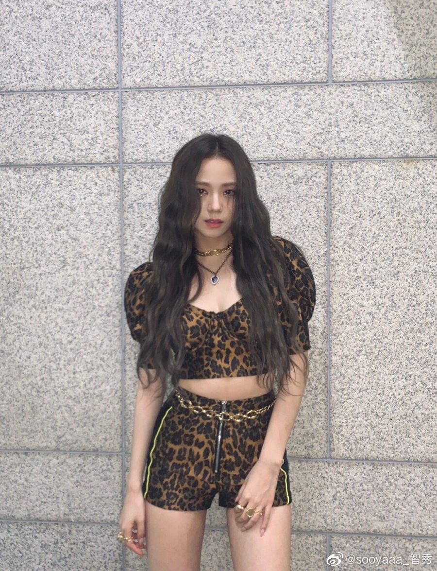 블랙핑크 호피 지수 > 방송/연예 | 포인트 스톡