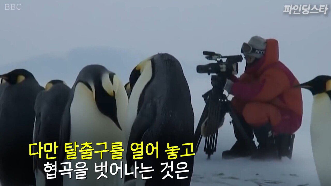 펭귄을 위해 불문율을 깬 감독 - 꾸르