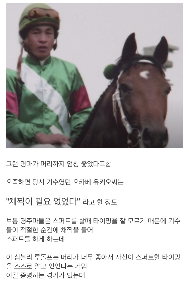 너무 똑똑해 영물이라 불리던 일본 경주마