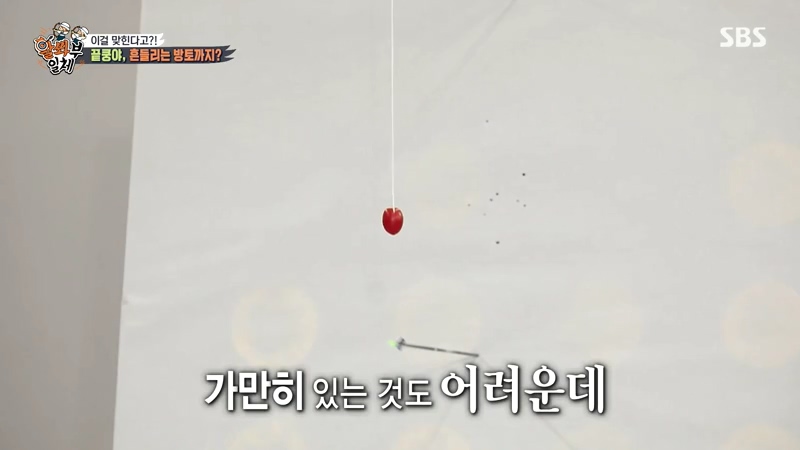 양궁 국가대표팀의 미션