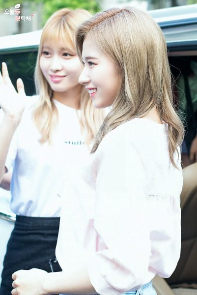 Tags: K-Pop, Twice, Minatozaki Sana, Hirai Momo, Tzuyu